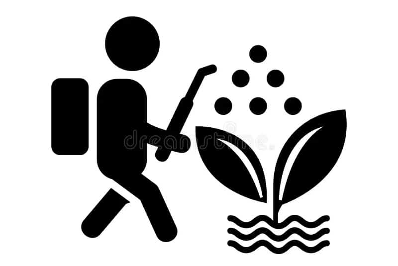Neem powder/oil/ cake, as an organic pesticide and fertilizer