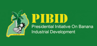 PIBID