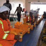 TEJU-JUICE-PRODUCTION